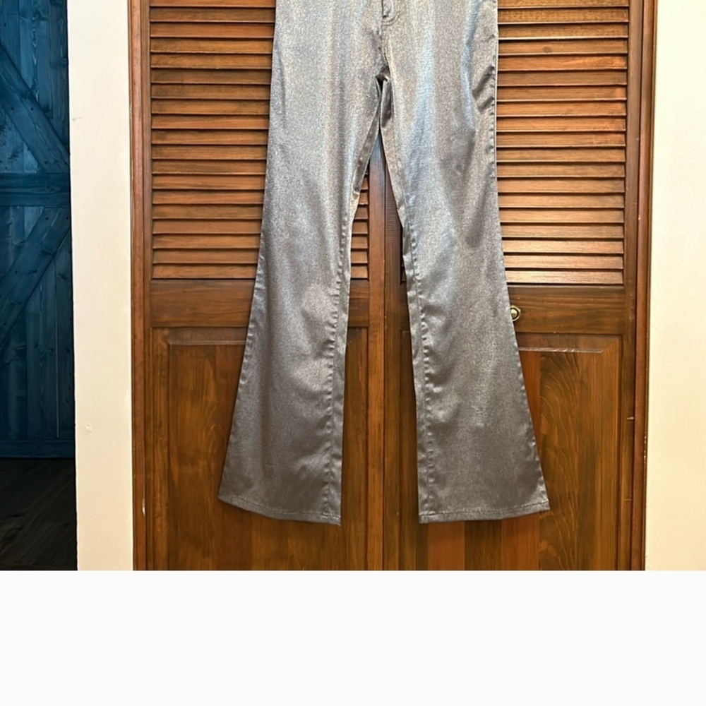 Silver Metallic Pants